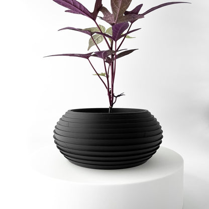 Cache pot Design FRONS