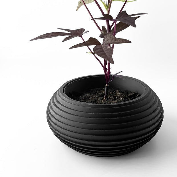 Cache pot Design FRONS