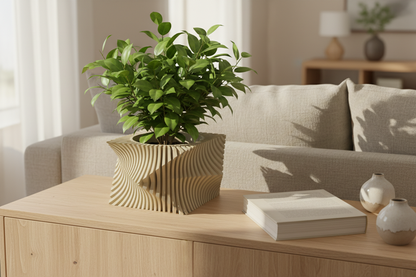Cache pot Design ANIO
